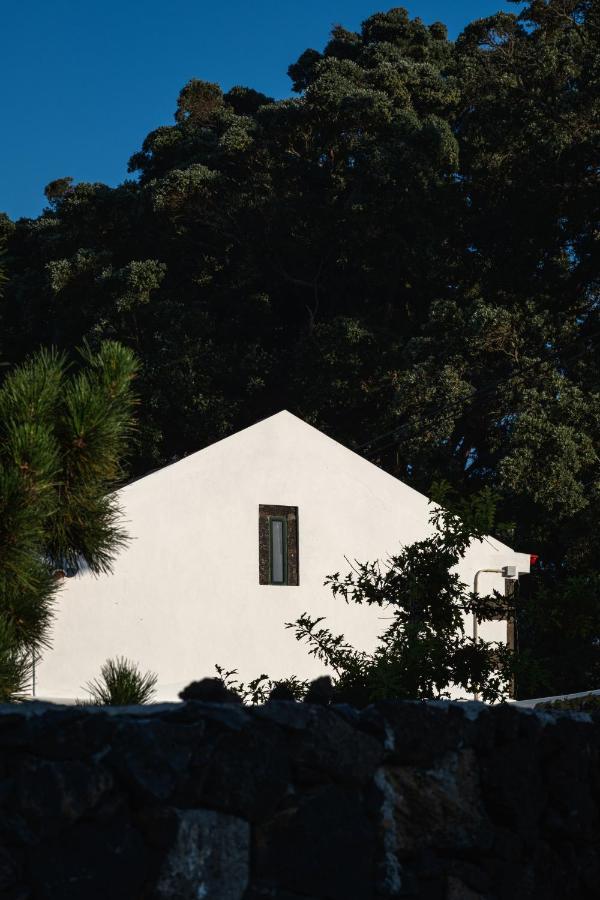 Entre Muros - Turismo Rural - Casa Com Jardim E Acesso Direto Ao Mar Ribeira Grande Exteriér fotografie